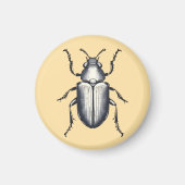 Aimant Beetle (Devant)