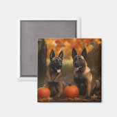 Aimant Belge Malinoi Puppy Automne Citrouille de plaisir (Recto/Verso)