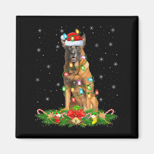 Aimant Belge Malinois Feux de Noël Chien Père Noël amusan