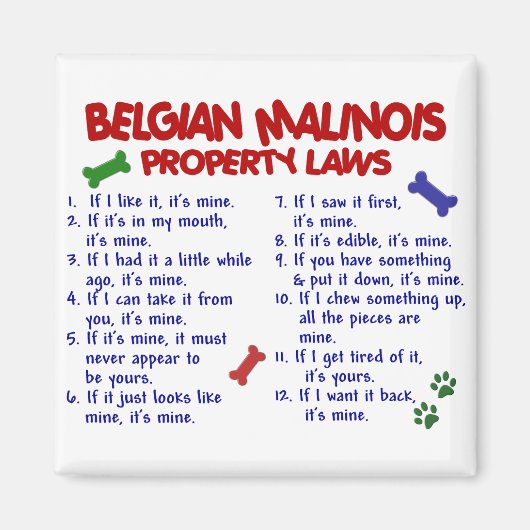 AIMANT BELGE MALINOIS PL2 (Devant)