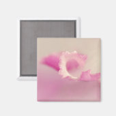 Aimant Bella Rosa (Recto/Verso)