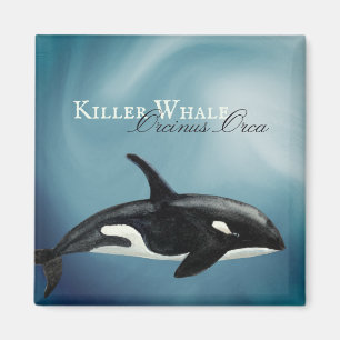 Aimant Belle Aquarelle Tueuse Baleine, Orcinus Orca