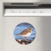 Aimant Belle balançoire semi-palmée à la plage (In Situ (Lave-vaisselle))