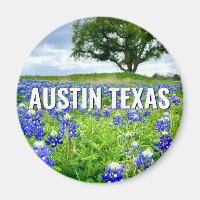 Belle Bluebonnets Austin Texas Photographie