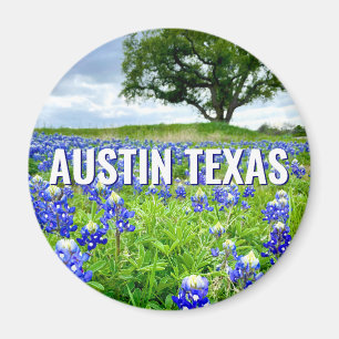 Aimant Belle Bluebonnets Austin Texas Photographie