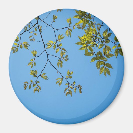 Aimant belle branche avec serrure feuille verte et jaune (Devant)