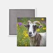 Aimant Belle chèvre (Recto/Verso)