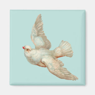 Aimant belle colombe blanche