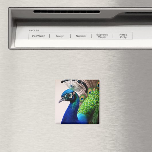 Aimant Belle couleur Peacock Paon Bird faune (In Situ (Lave-vaisselle))