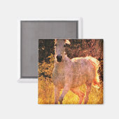 Aimant Belle équine (Recto/Verso)