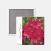 Aimant Belle Fleur d'Etat Géorgie~ Azalea (Recto/Verso)