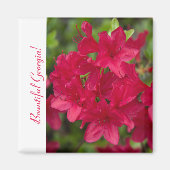 Aimant Belle Fleur d'Etat Géorgie~ Azalea (Devant)