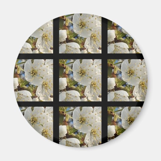 Aimant Belle Grille Springflower (Devant)