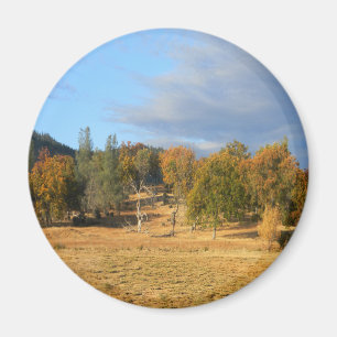 Aimant Belle Hayfork, Californie....