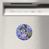 AIMANT BELLE IRIS (In Situ (Lave-vaisselle))