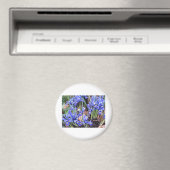 AIMANT BELLE IRIS (In Situ (Lave-vaisselle))