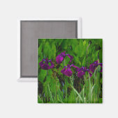 Aimant Belle Iris Violet (Recto/Verso)