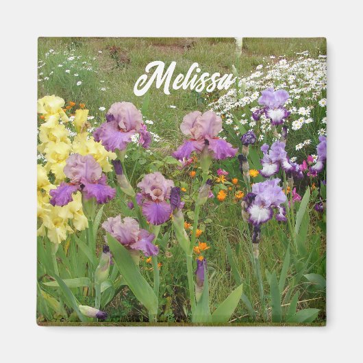 Aimant Belle Iris Violet Irises fleur floral Jardin (Devant)
