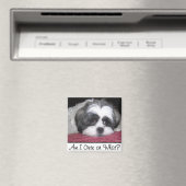 Aimant Belle Le Chien Chih Tzu (In Situ (Lave-vaisselle))
