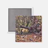 Aimant Belle matinée de printemps.... (Recto/Verso)