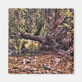 Aimant Belle matinée de printemps.... (Devant)