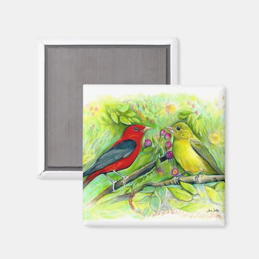 Aimant Belle Peinture à l'aquarelle pour les tanagers d'a (Recto/Verso)