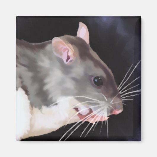 Aimant Belle peinture de rat (Devant)