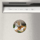 Aimant Belle photo de repos du tigre (In Situ (Lave-vaisselle))