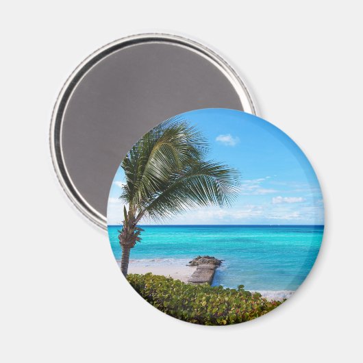 Aimant Belle Plage Tropicale Palme Ventilée (Recto/Verso)