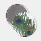 Aimant Belle plume de paon blanc (Recto/Verso)