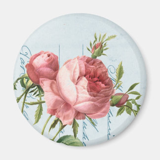 Aimant Belle rose vintage