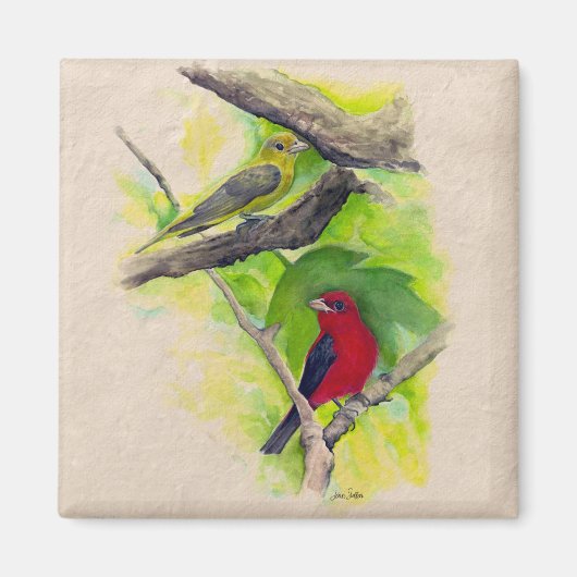 Aimant Belle Scarlet Tanagers Oiseaux Peinture (Devant)