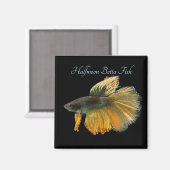Aimant Belle Siamese Combattre Poisson Betta demi-lune (Recto/Verso)