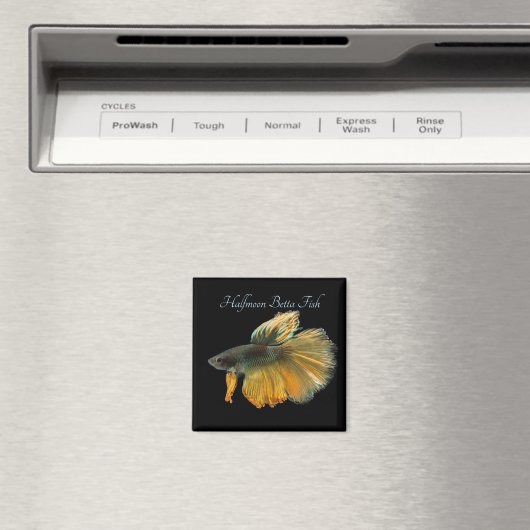 Aimant Belle Siamese Combattre Poisson Betta demi-lune (In Situ (Lave-vaisselle))