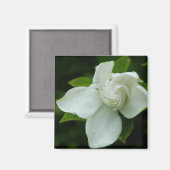 Aimant Belle Sud (Recto/Verso)