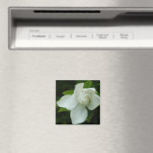 Aimant Belle Sud (In Situ (Lave-vaisselle))