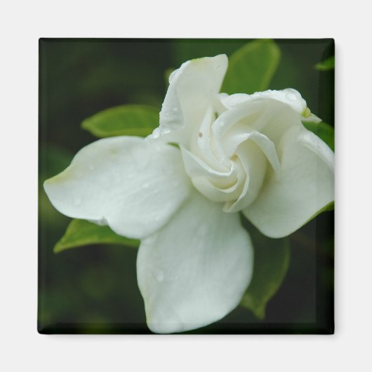 Aimant Belle Sud (Devant)