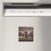 Aimant Belle Trousse De Buffalo (In Situ (Lave-vaisselle))