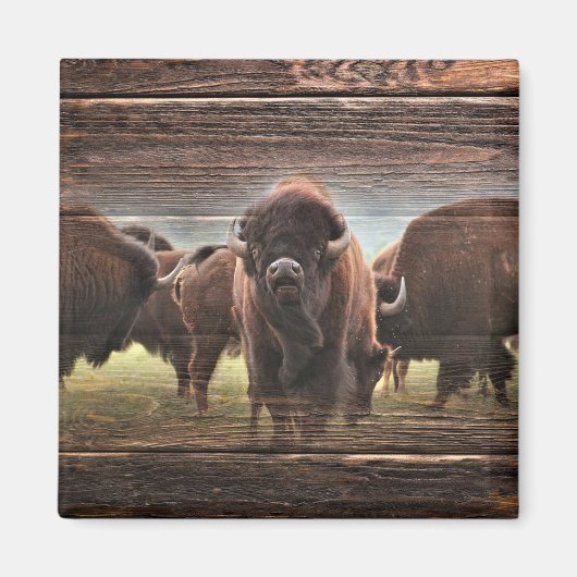 Aimant Belle Trousse De Buffalo (Devant)