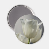 Aimant Belle Tulipe de printemps blanche (Recto/Verso)