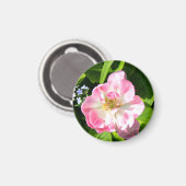 Aimant Belle tulipe rose (Recto/Verso)