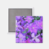 Aimant Belle Violet Clematis (Recto/Verso)