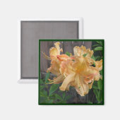 Aimant Belle vue rapprochée de Daylilly (Recto/Verso)