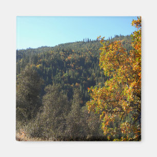 Aimant Belles couleurs automne.....