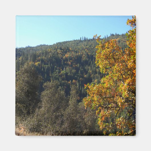 Aimant Belles couleurs automne..... (Devant)
