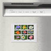 Aimant Belles fleurs de jardin (In Situ (Lave-vaisselle))