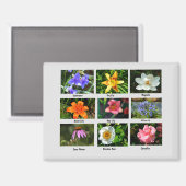 Aimant Belles fleurs de jardin (Recto/Verso)