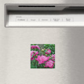 Aimant Belles fleurs de pivoines roses (In Situ (Lave-vaisselle))
