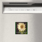 Aimant belles petites bizarreries (In Situ (Lave-vaisselle))