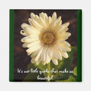 Aimant belles petites bizarreries